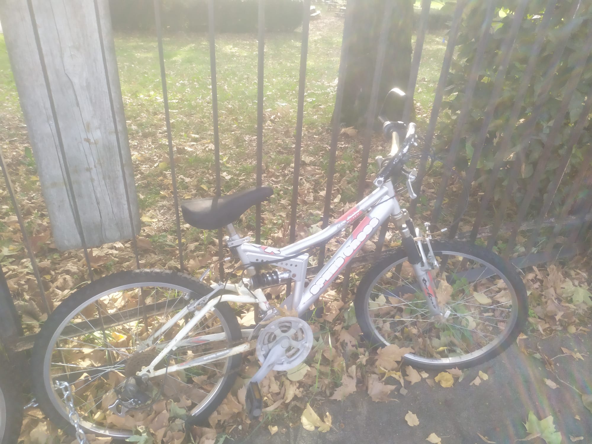 bici 1