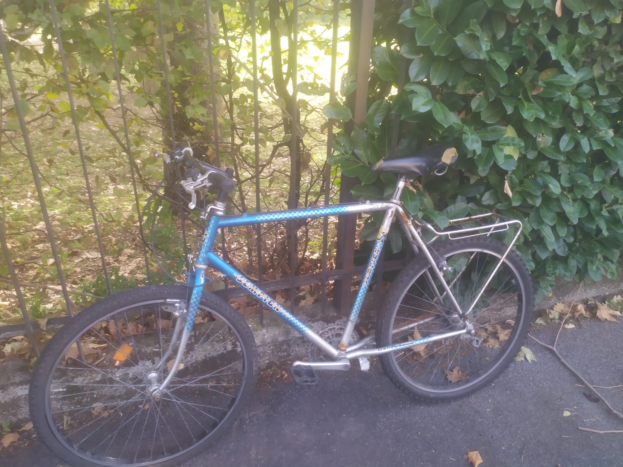 bici 10