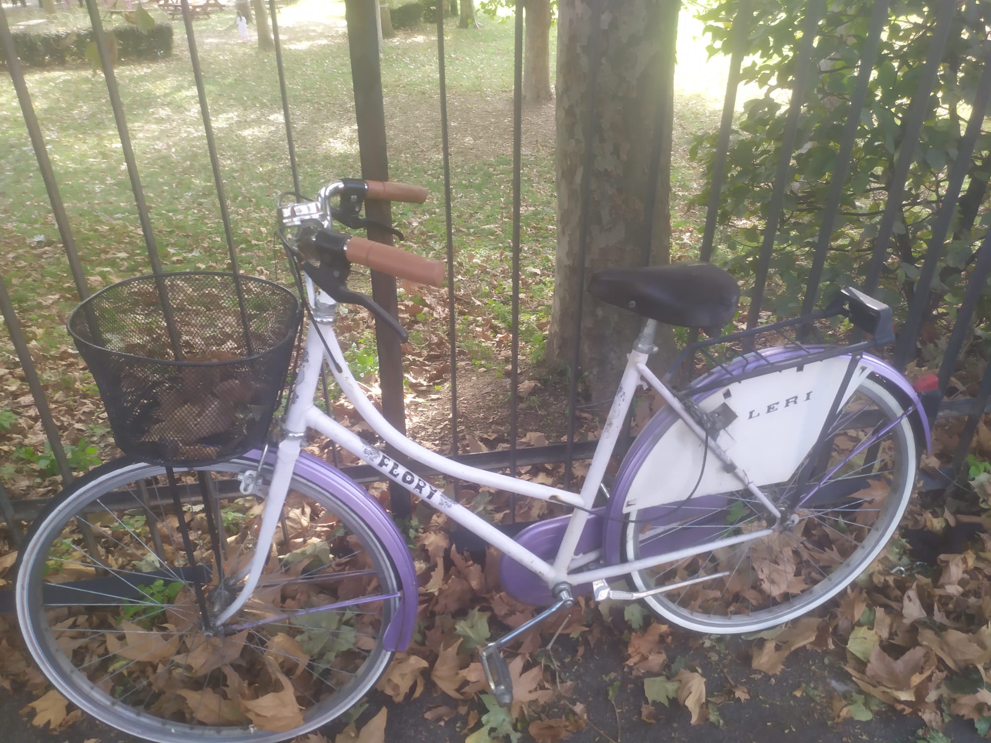 bici 11