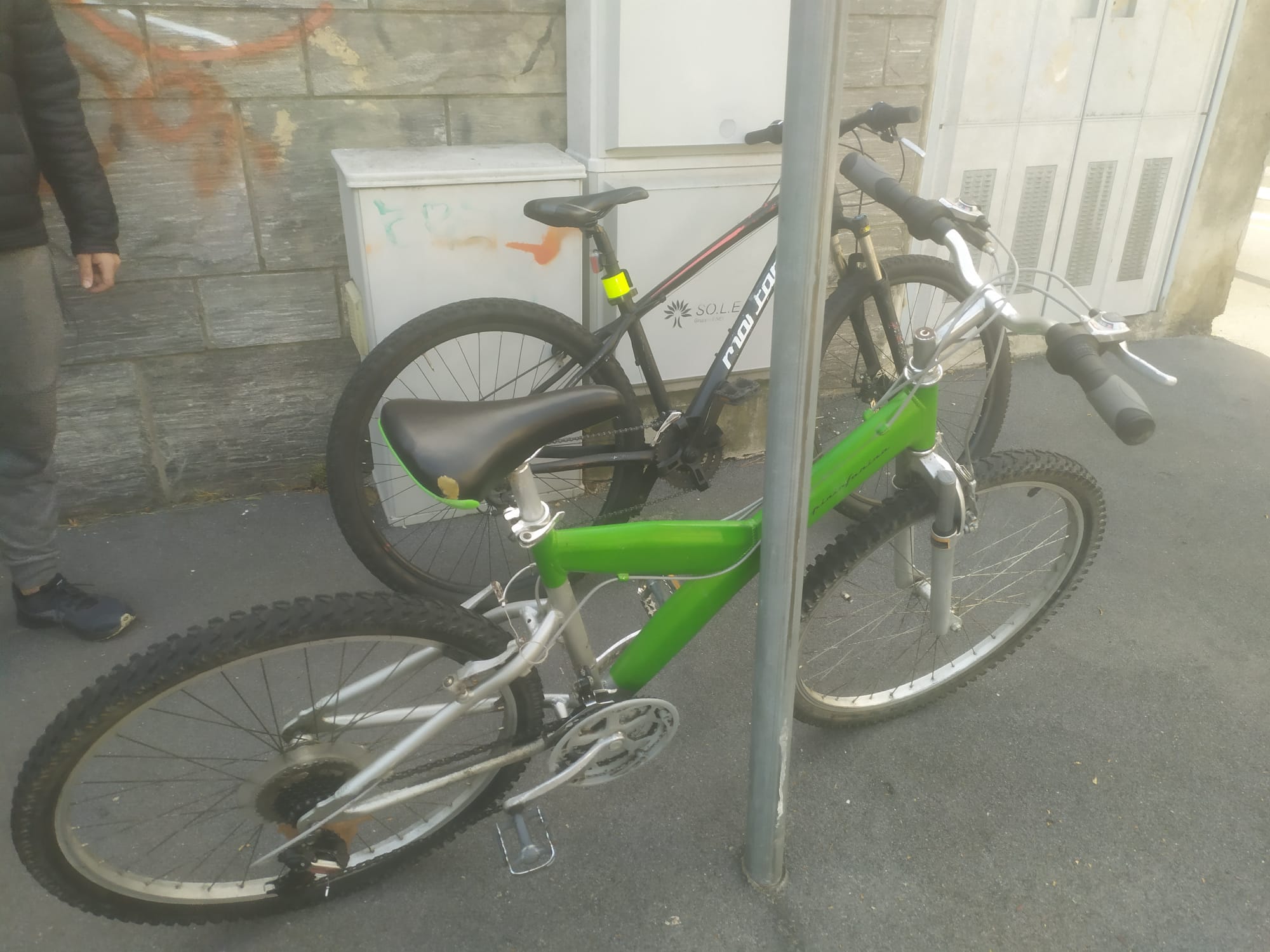 bici 14