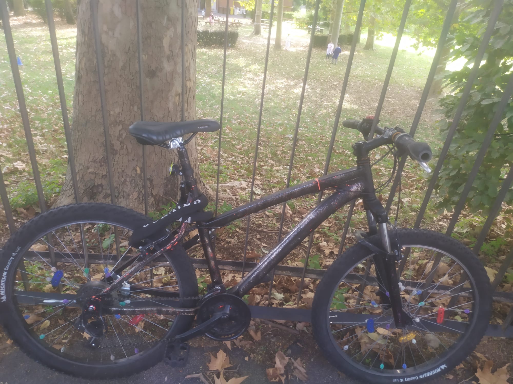 bici 15