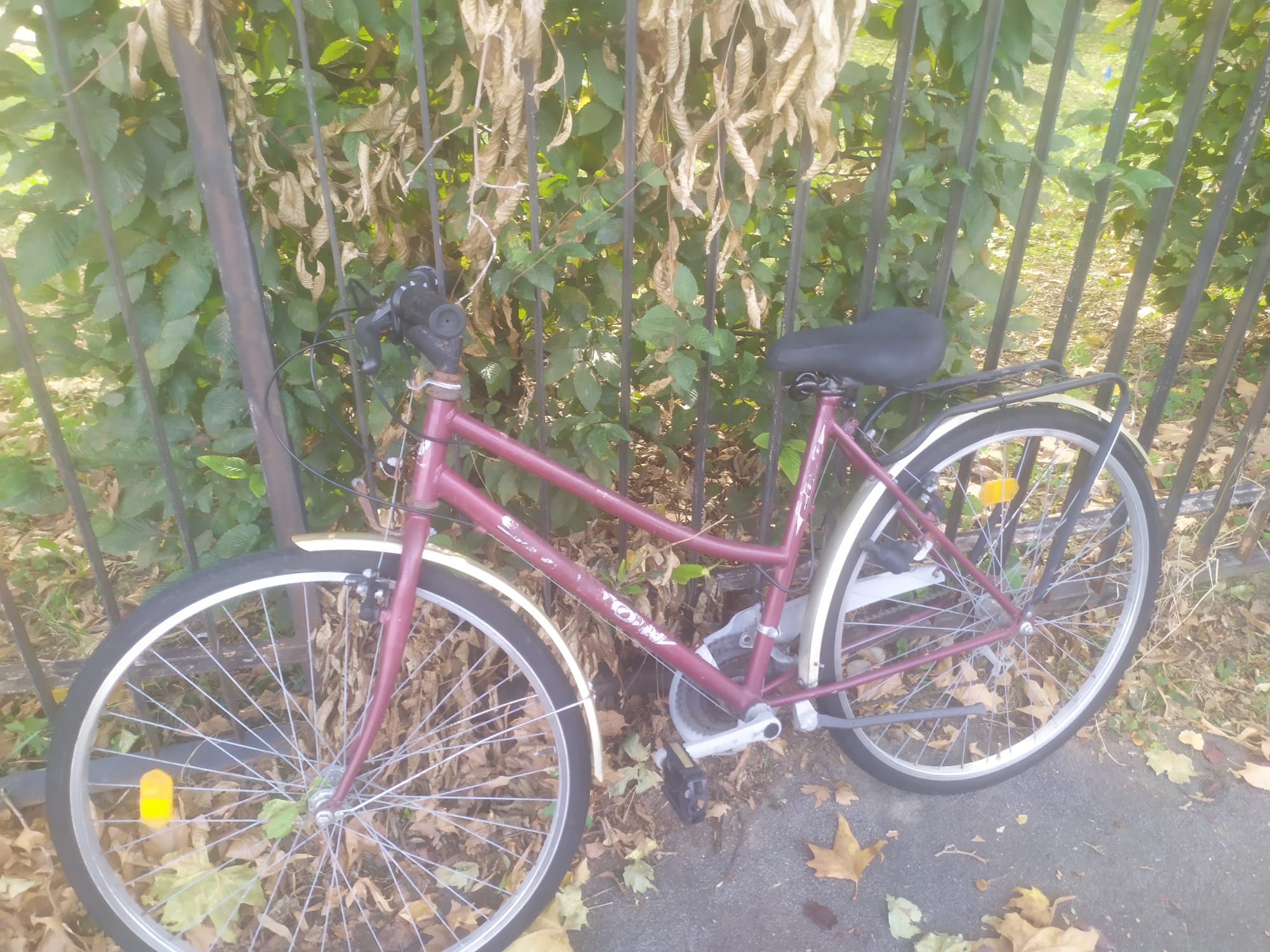bici 2