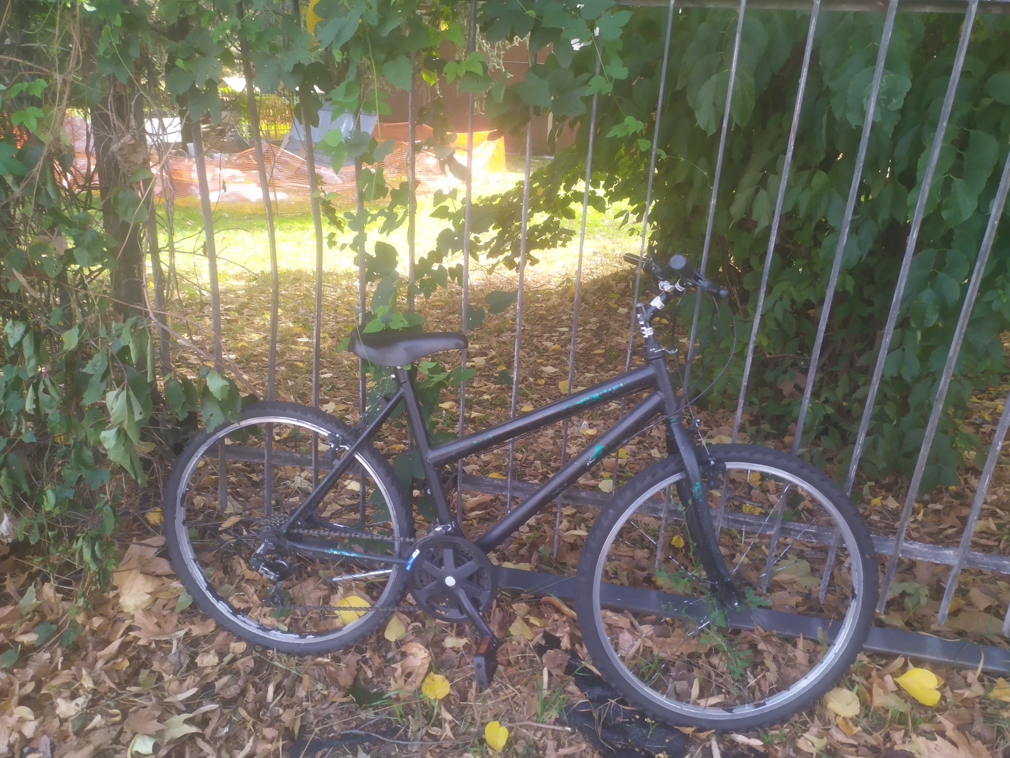 bici 5