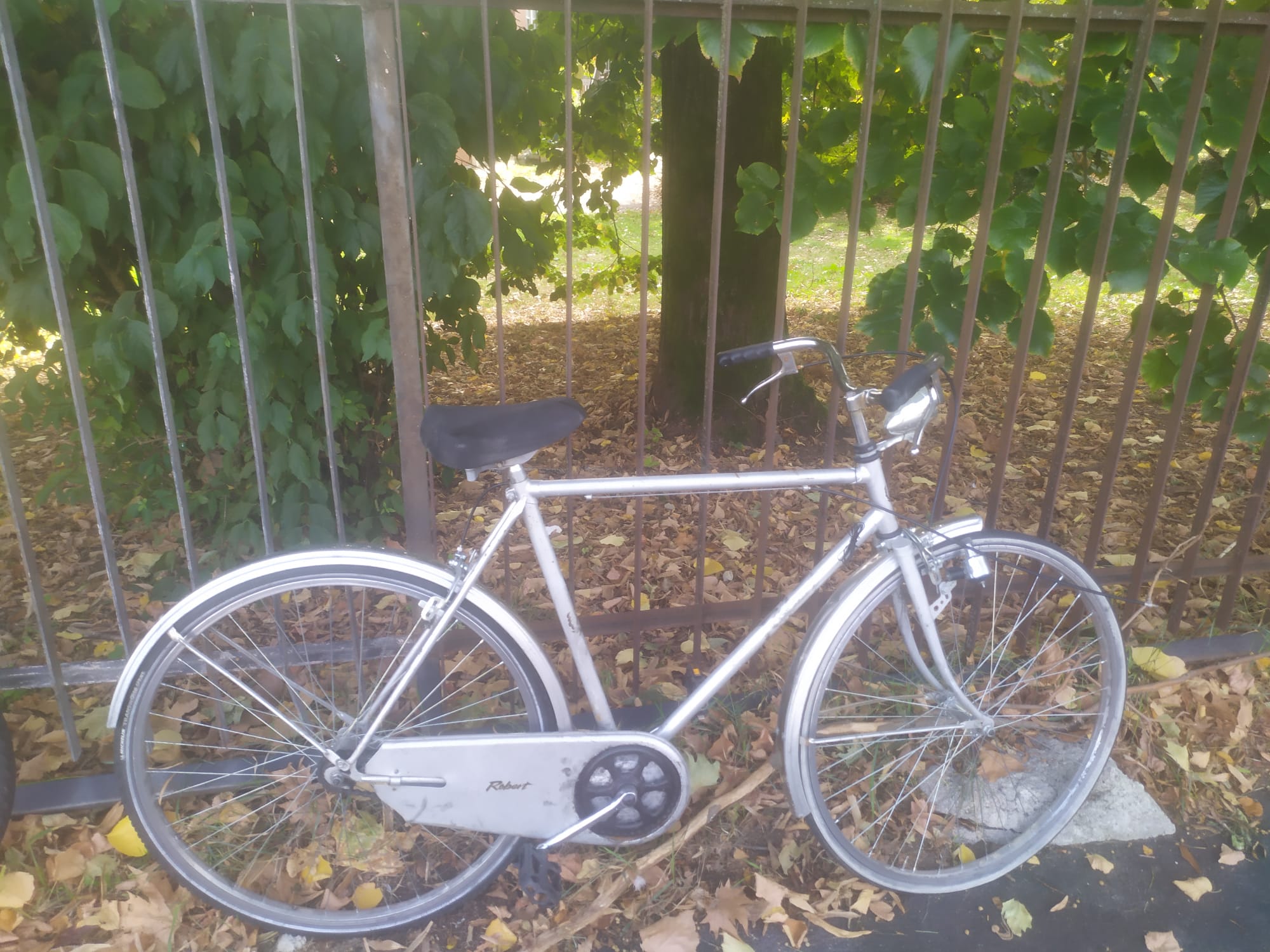 bici 6