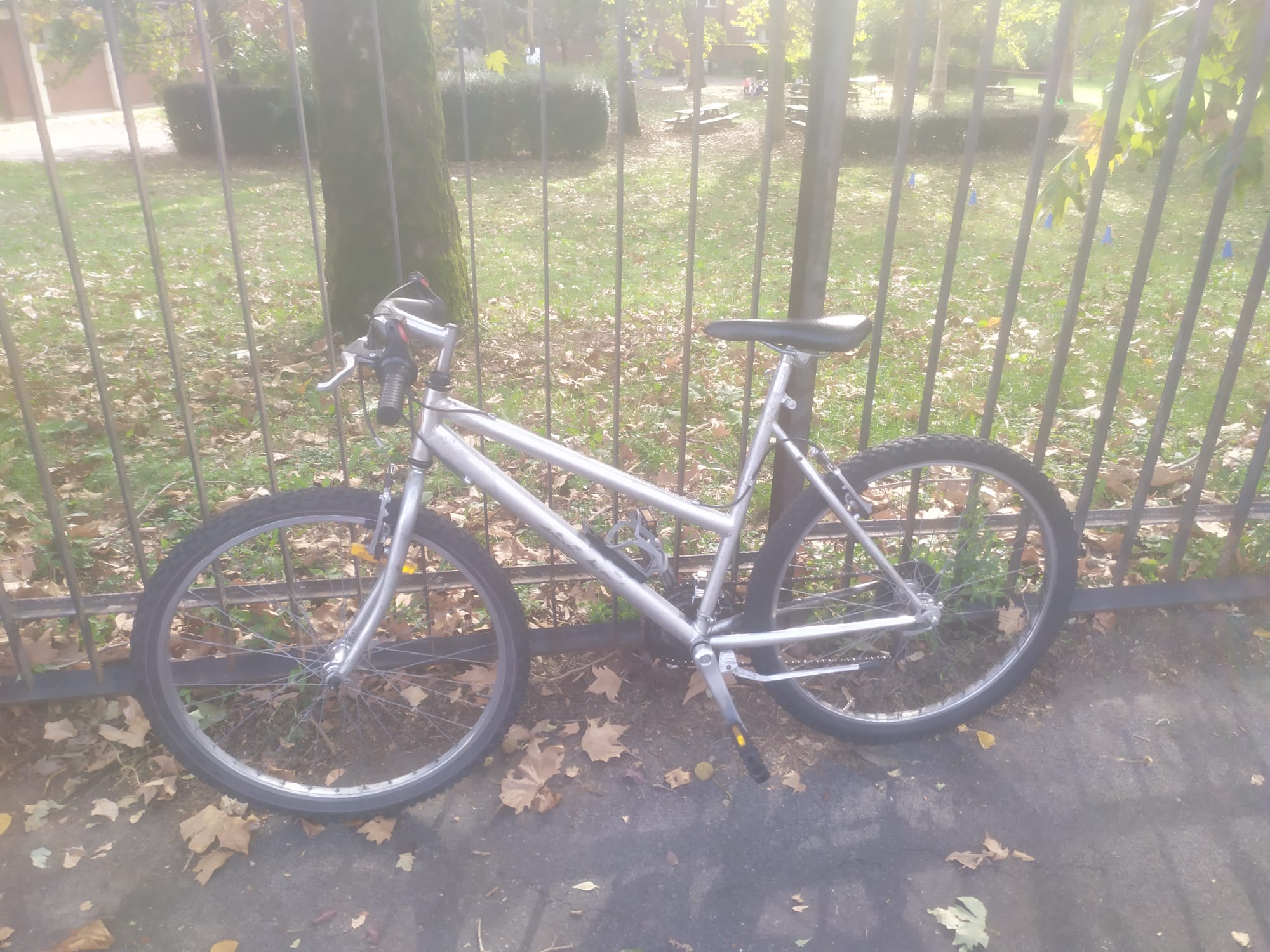 bici 7