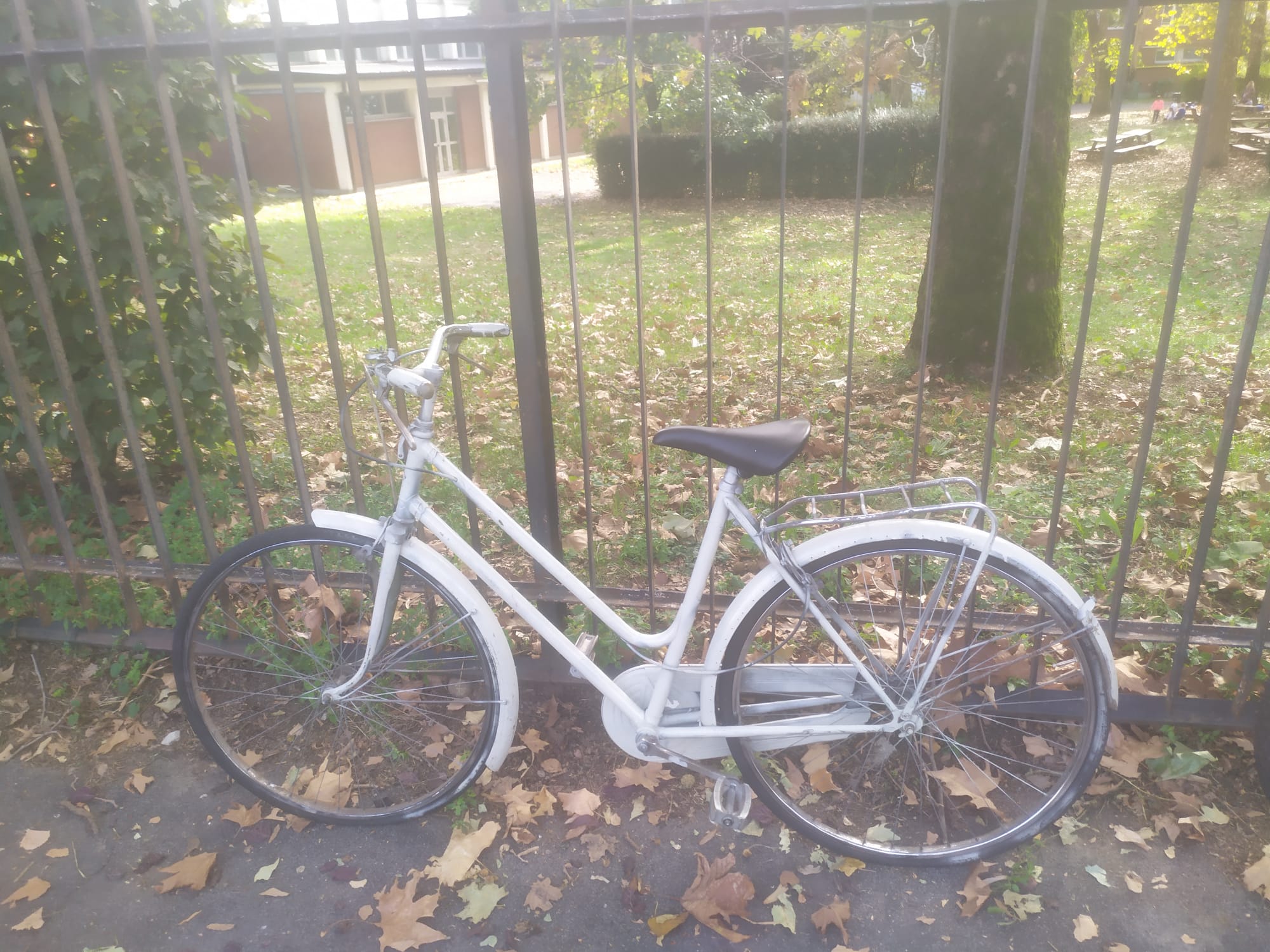bici 8