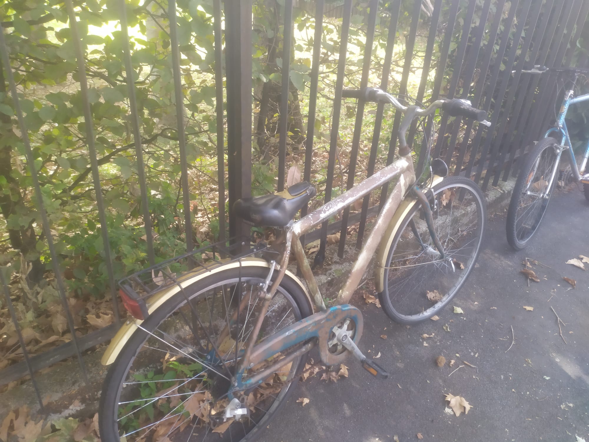 bici 9