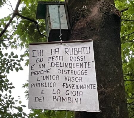 pesciolini cusano