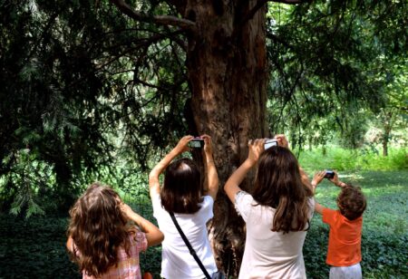 cinisello settimana fotografi bambini