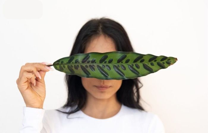 A Cologno Monzese la mostra ‘Rinate - Oltre il femminicidio’