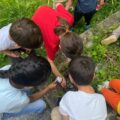 In 4 scuole milanesi gli 'Angoli di biodiversità' creati dai bambini