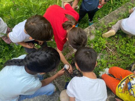 In 4 scuole milanesi gli 'Angoli di biodiversità' creati dai bambini