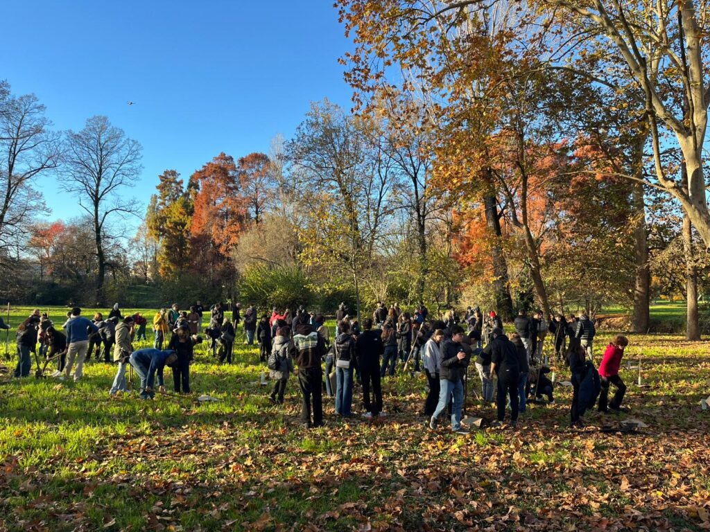 Dal Parco Nord Milano al Parco Lambro: le piantumazioni in città