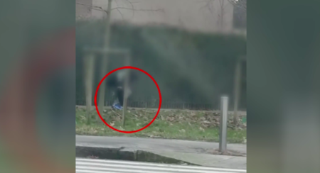 Milano, nasconde cocaina sotto le foglie: arrestato 24enne