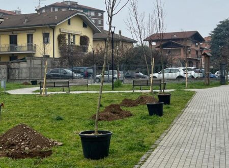 Cinisello Balsamo, 15 nuovi alberi nel parco Don Gnocchi