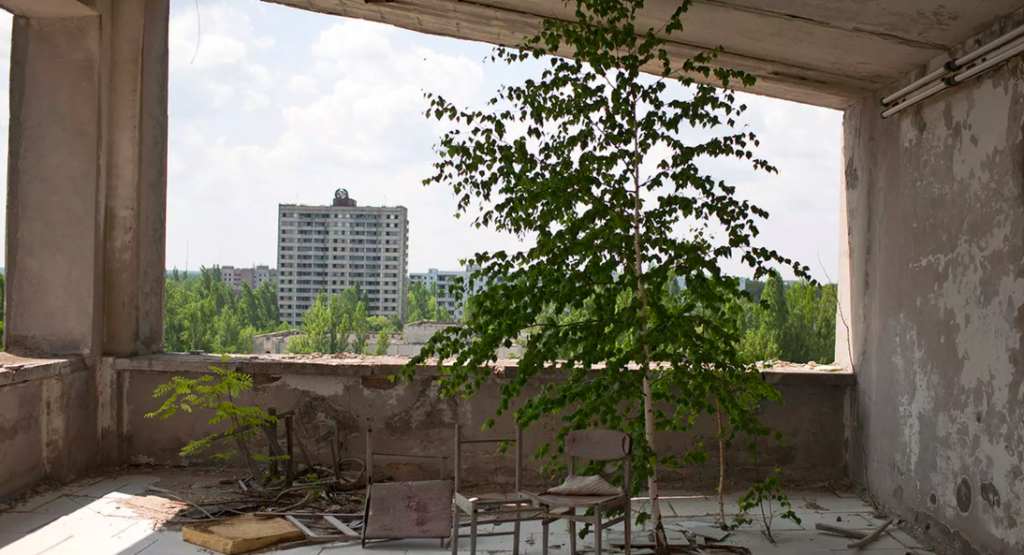 Milano, al Museo di Storia Naturale la mostra ‘Chernobyl 1986’
