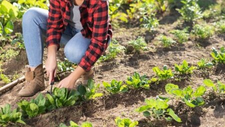 Lombardia, quasi 4 milioni per i giovani agricoltori
