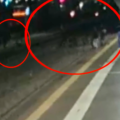 Milano, omicidio nella stazione di Certosa: 6 arresti