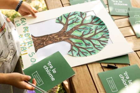 Forestami porta 100 classi 'Tra le Chiome': un anno alla scoperta degli alberi in città